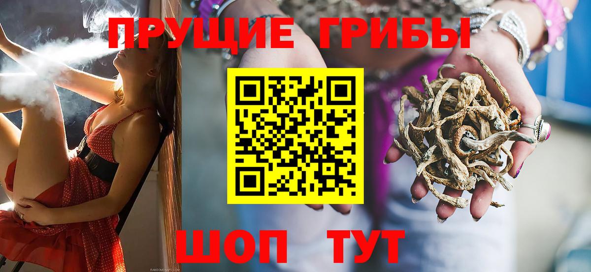 Псилоцибиновые грибы GOLDEN TEACHER Пенза