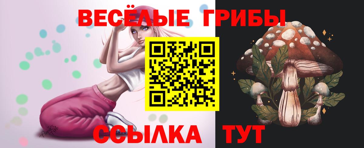где купить наркоту  Вход с VPN  Пенза  Галлюциногенные грибы GOLDEN TEACHER 